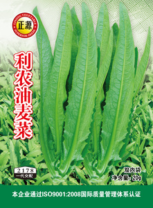 利农油麦菜（2178）