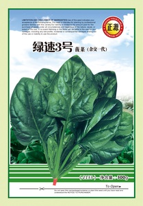 绿速3号菠菜（2133）