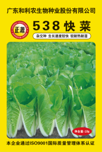 538快菜（2065）